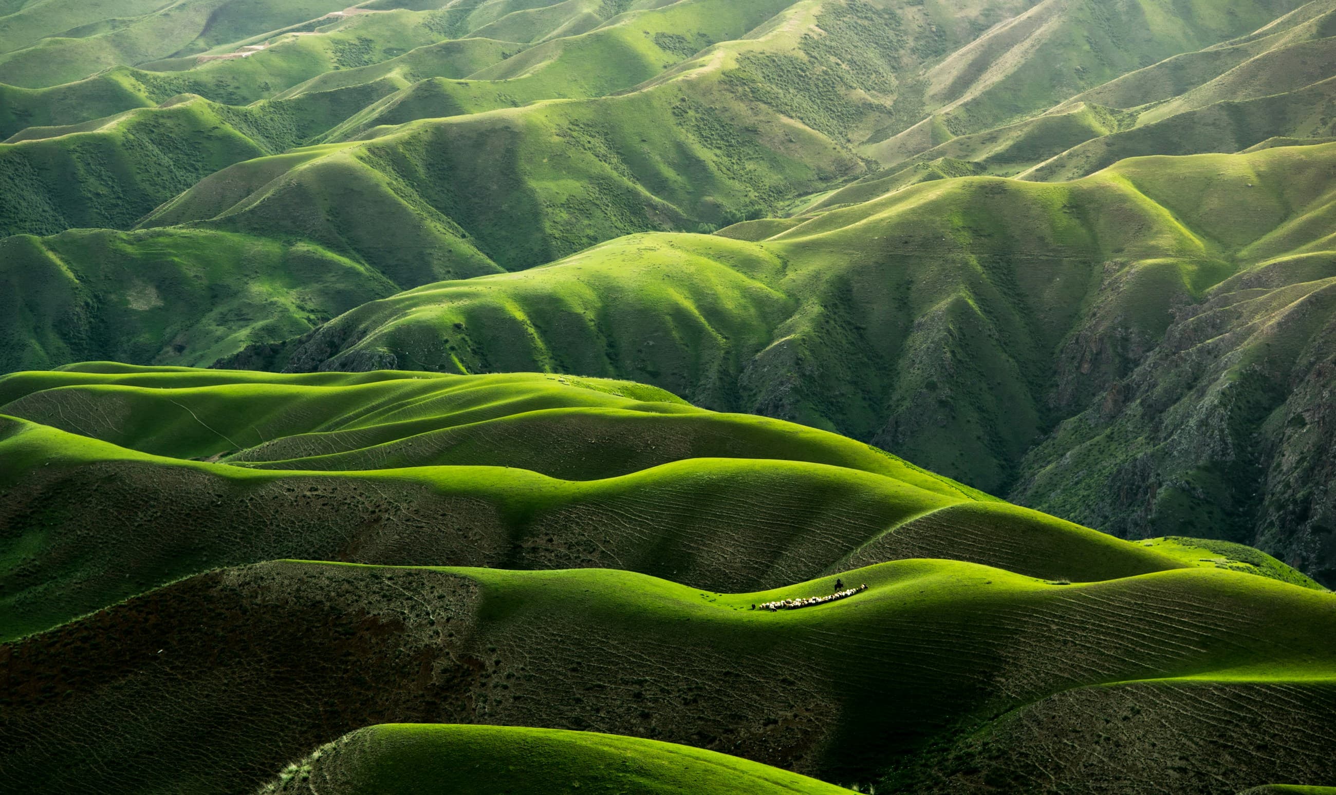 Rolling green hills representing health and vitality